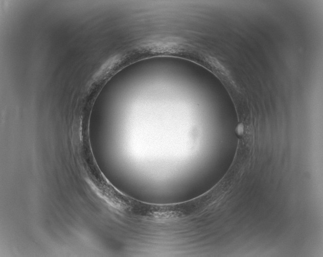 X0000080130686200612081230