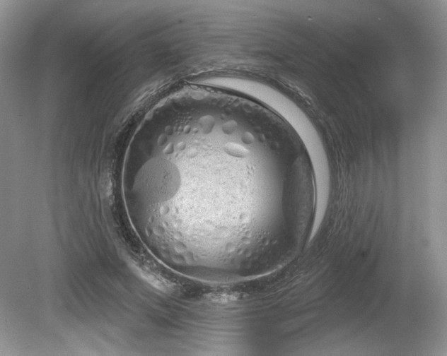 X0000080130687200612081230