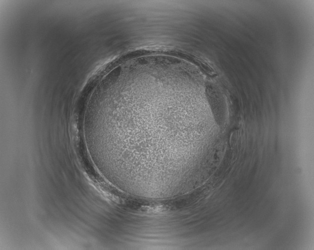 X0000080130688200612081230