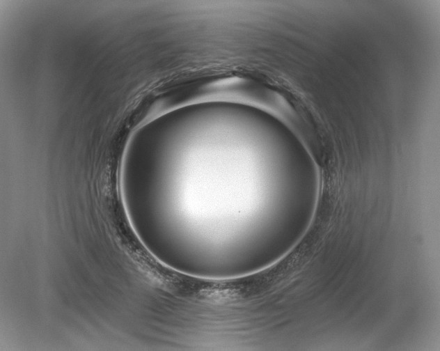 X0000080130689200612081230