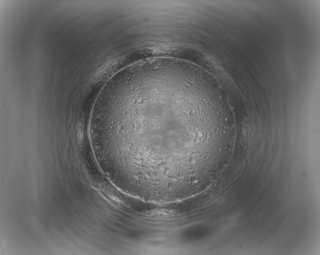 X0000080130691200612081230