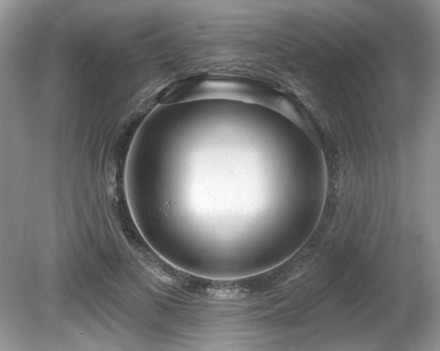 X0000080130693200612081230