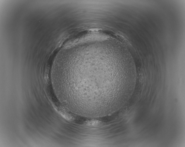 X0000080130695200612081230