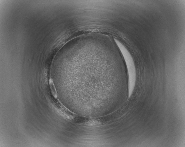 X0000080130696200612081230