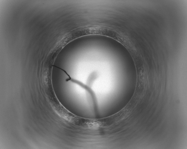 X0000080130698200612081230