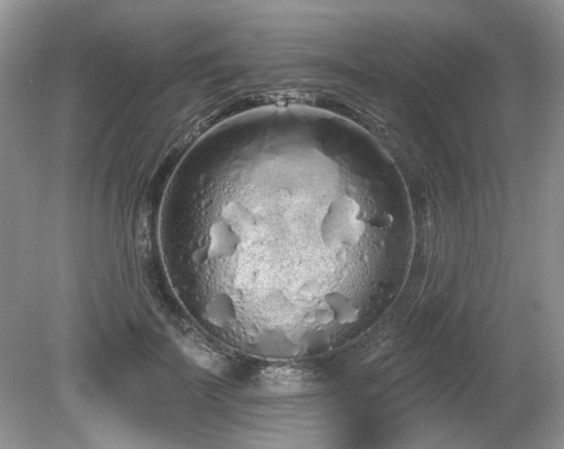 X0000080130699200612081230