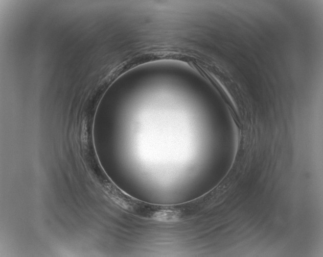 X0000080130700200612081230