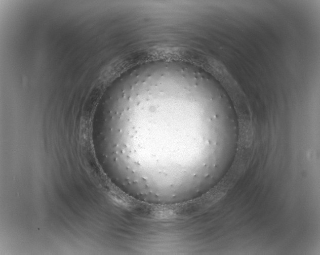 X0000080130701200612081230