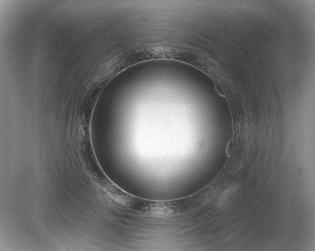 X0000080130702200612081230