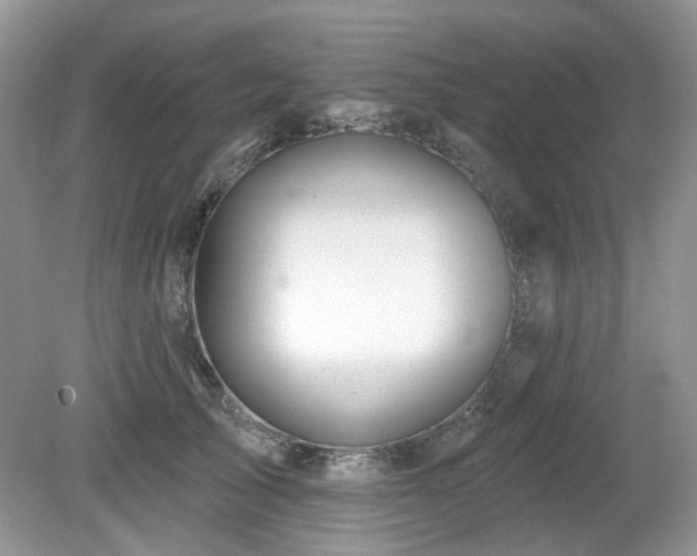 X0000080130705200612081230