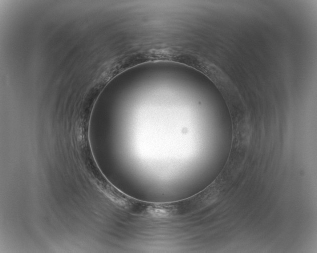 X0000080130706200612081230