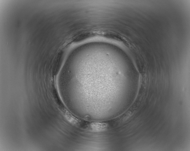 X0000080130707200612081230