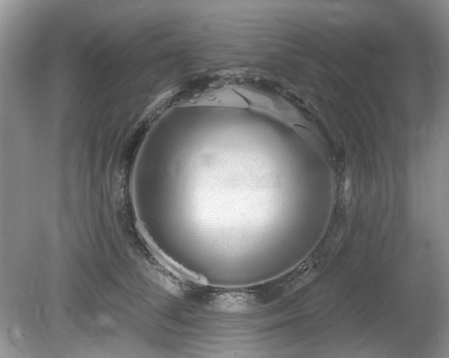 X0000080130708200612081230