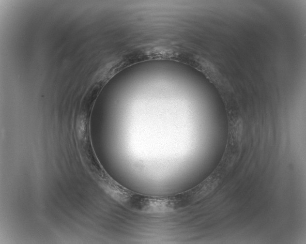 X0000080130709200612081230