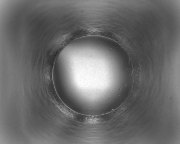 X0000080130710200612081230