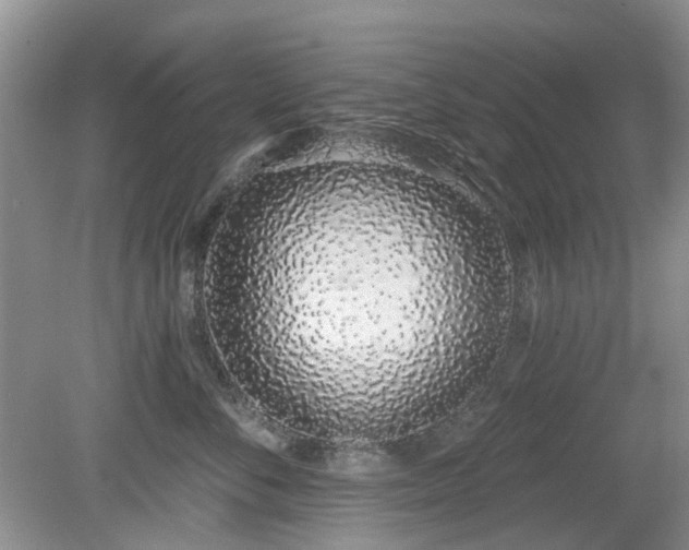 X0000080130716200612081230