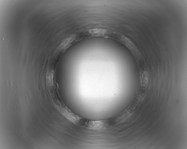 X0000080130717200612081230