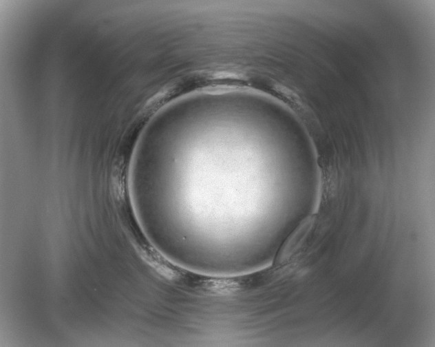 X0000080130719200612081230