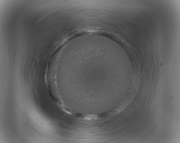 X0000080130720200612081230