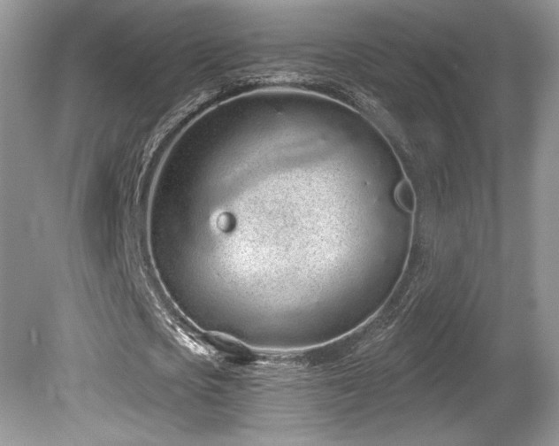 X0000080130721200612081229