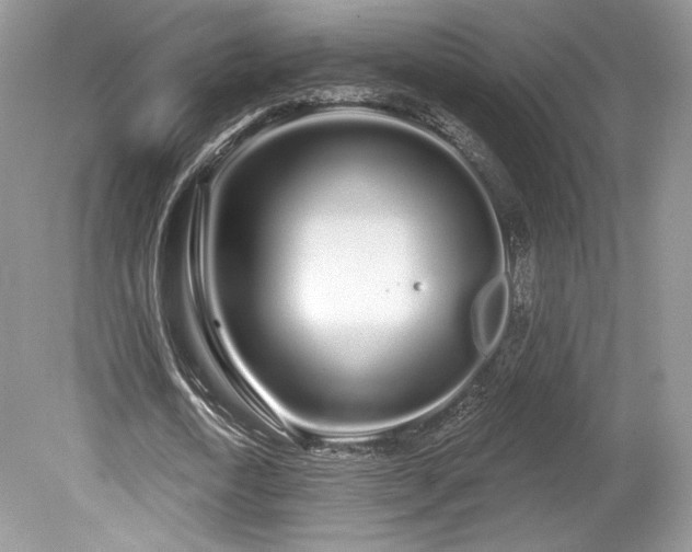 X0000080130722200612081229