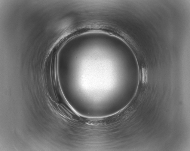 X0000080130723200612081229