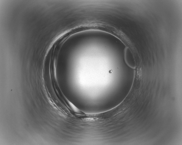 X0000080130724200612081229