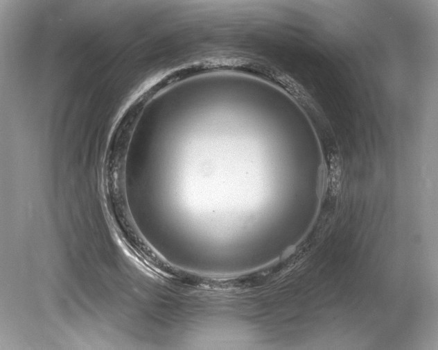 X0000080130726200612081229