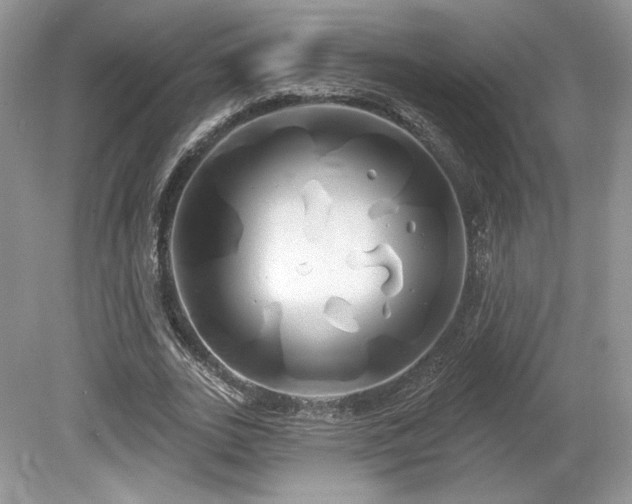 X0000080130727200612081229