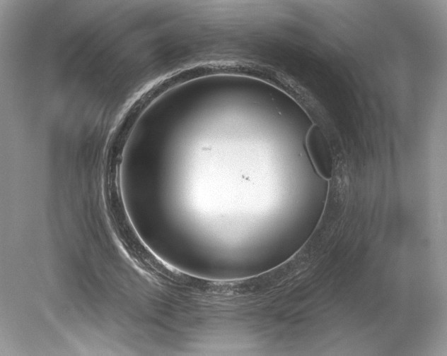 X0000080130728200612081229