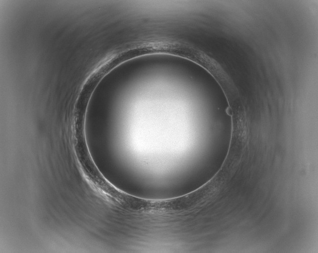 X0000080130730200612081229