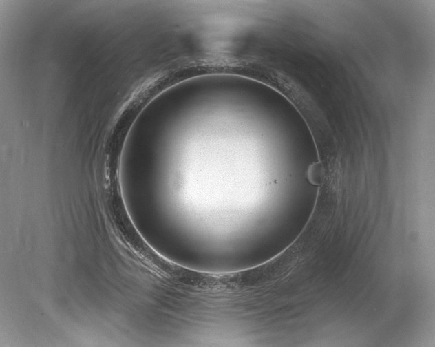 X0000080130731200612081229