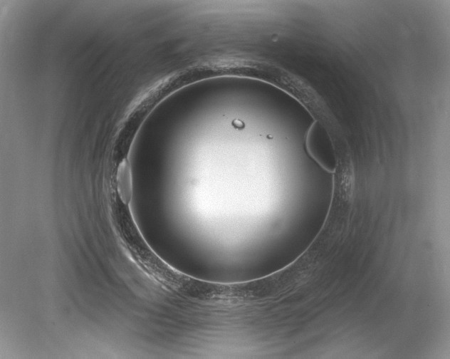 X0000080130732200612081229