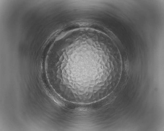 X0000080130733200612081229