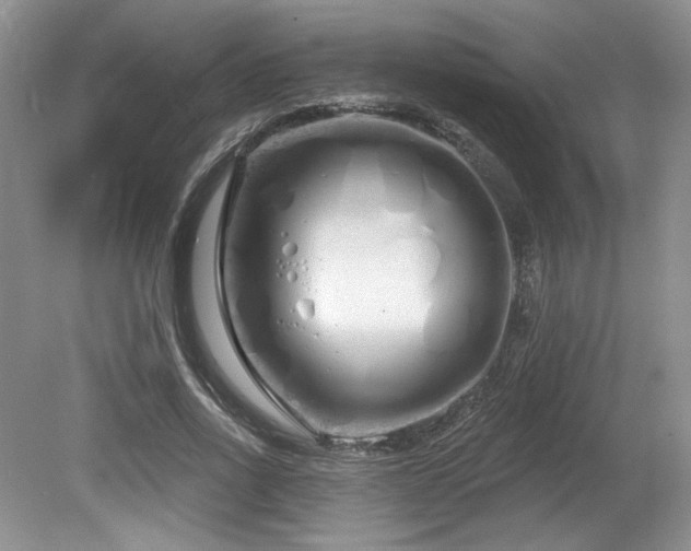 X0000080130734200612081229