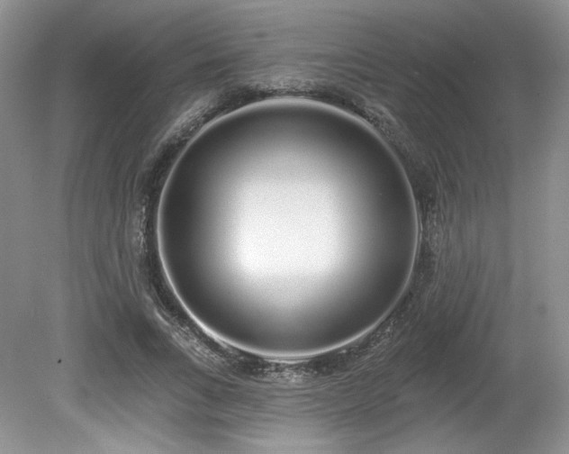 X0000080130735200612081229