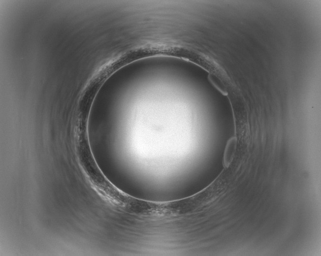 X0000080130736200612081229