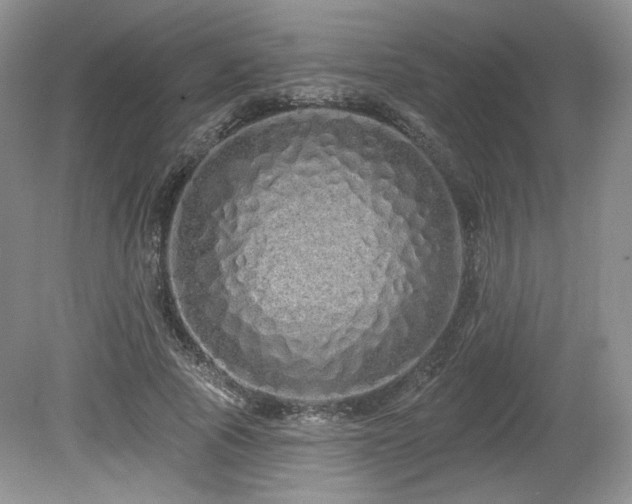 X0000080130737200612081229