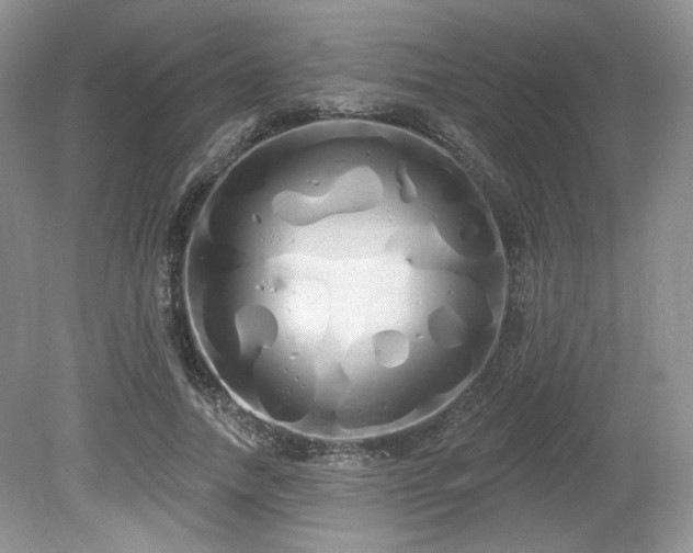 X0000080130738200612081229