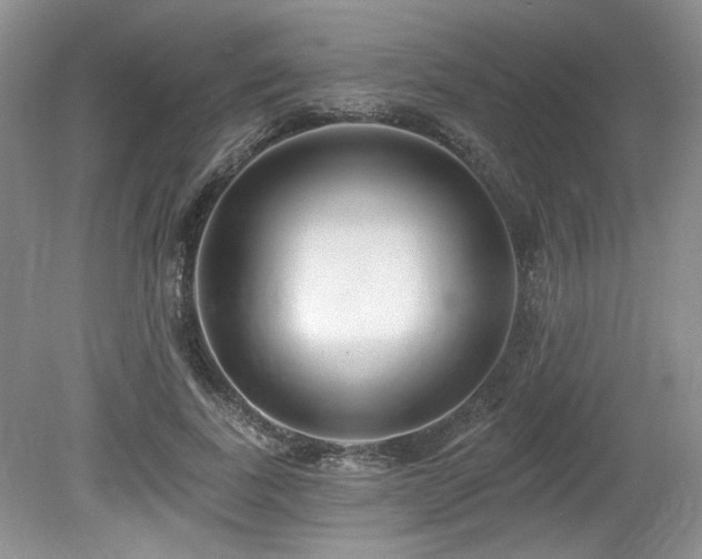 X0000080130739200612081229