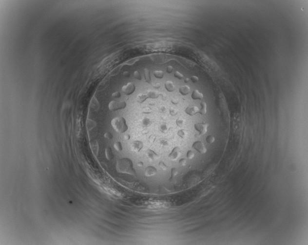 X0000080130741200612081229