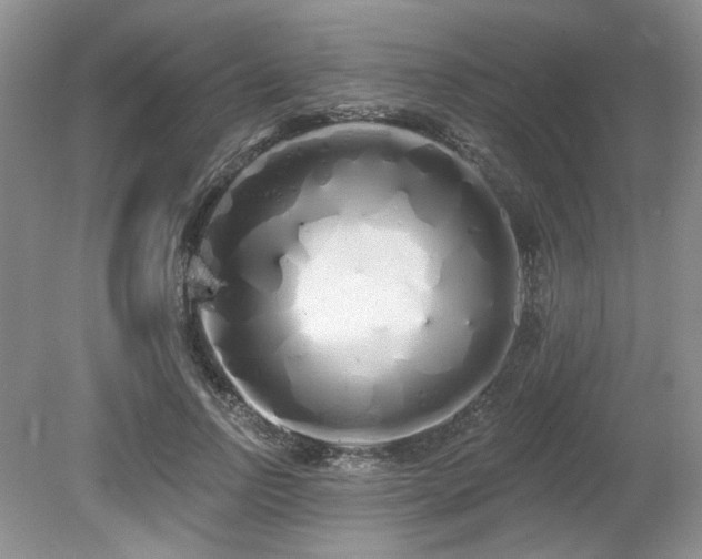 X0000080130742200612081229