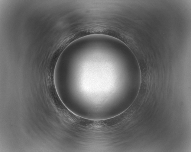 X0000080130743200612081229