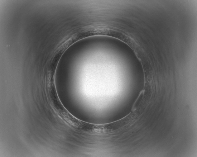 X0000080130744200612081229