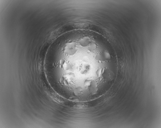 X0000080130745200612081229