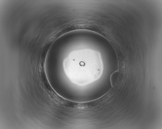 X0000080130746200612081229