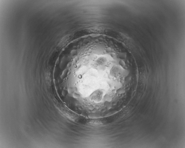 X0000080130749200612081230