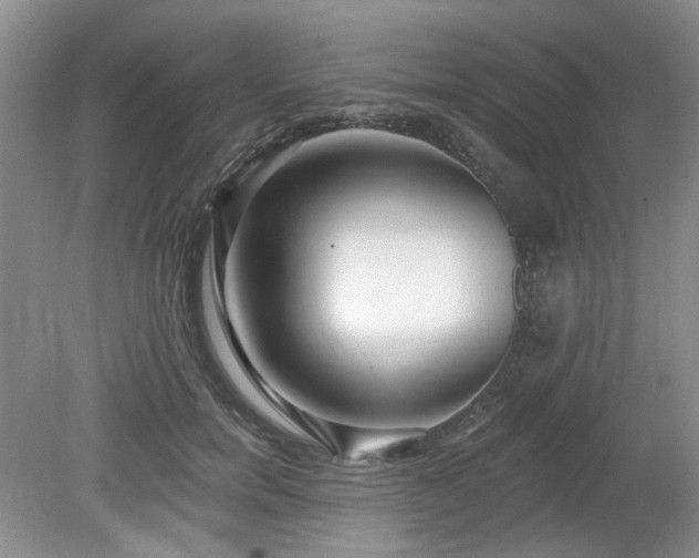 X0000080130750200612081230