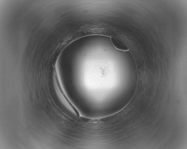 X0000080130752200612081230