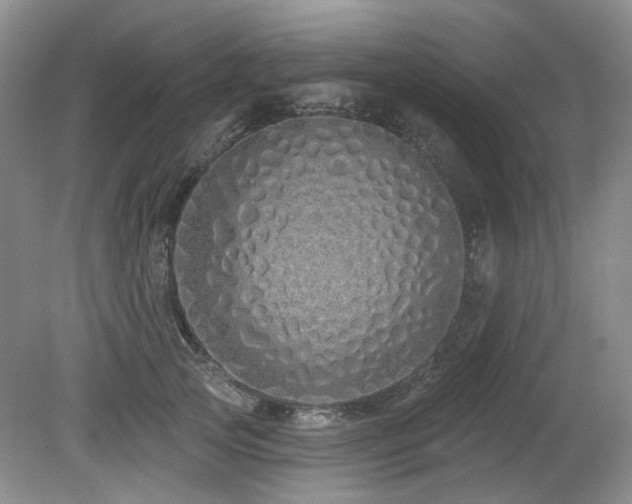 X0000080130753200612081230